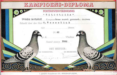 diploma.jpg
